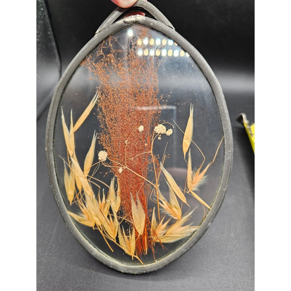 Vintage Pressed Dried Flower Glass Suncatcher Oval Leaded Metal Frame 8x6 Art